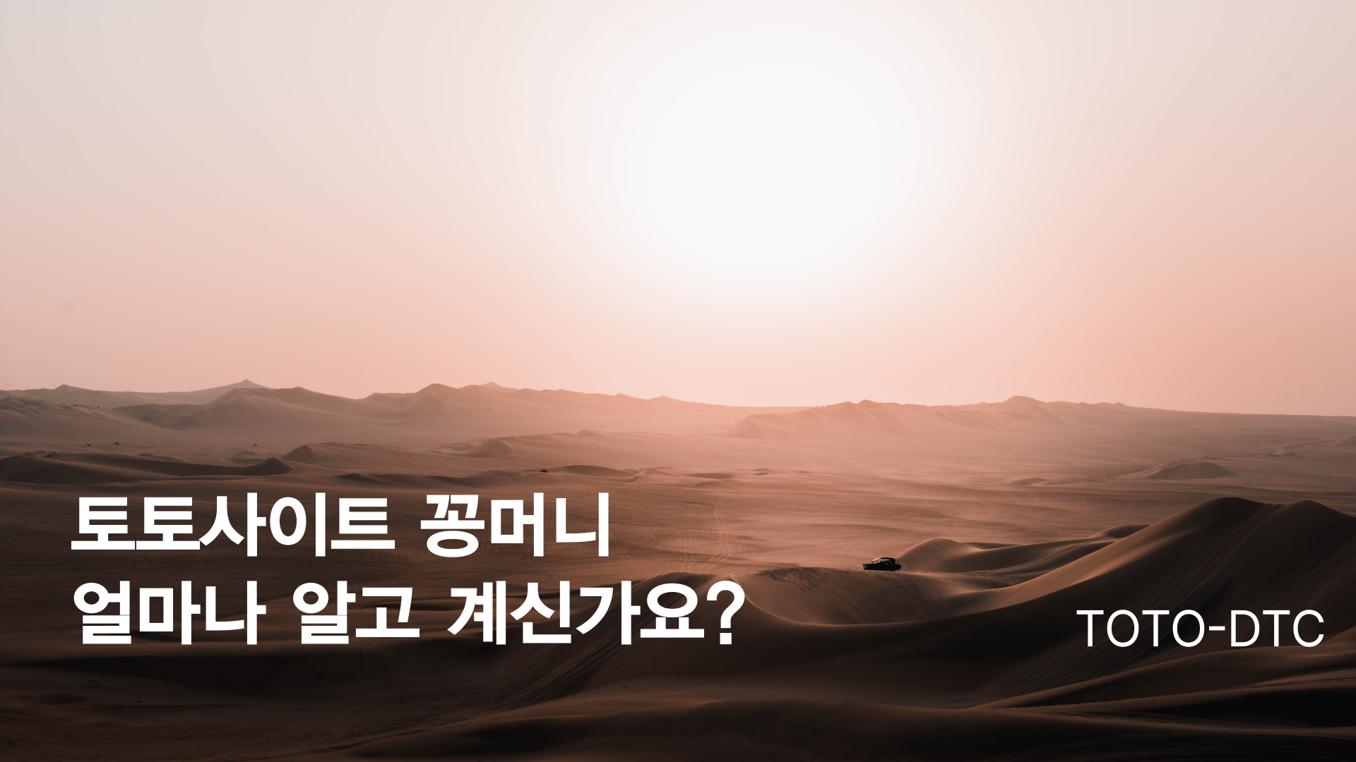 꽁머니 특성이미지